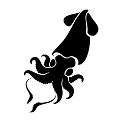 graphic squid, vector
