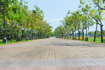 peaceful walkway in the park.