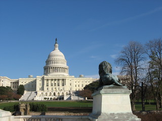 United States Capitol Building Washington Dc