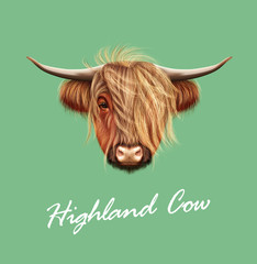Vector Illustrated portrait of Highland cattle.