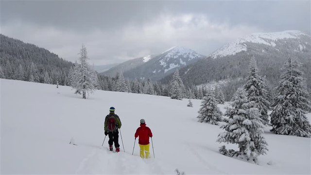 Couple of travelers goes on snowshoes for alpine meadow during a snowfall, on the background of mountain slopes covered with pine forest and snow-capped peaks. Slow motion. Back view.