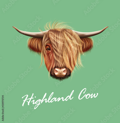 Free Free 294 Vector Highland Cow Svg SVG PNG EPS DXF File