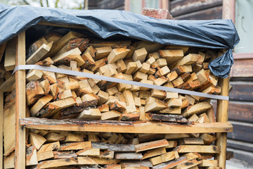 harvesting firewood for the winter