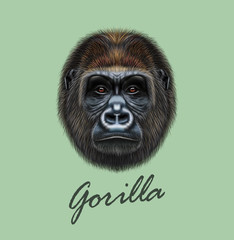 Vector Illustrated portrait of Gorilla male