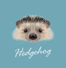 Vector Illustrated portrait of Hedgehog © ant_art19