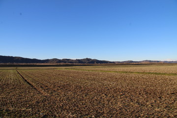 Agricoltura terreno agricolo coltivato