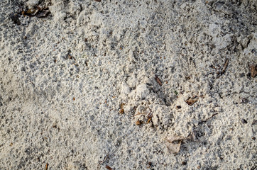 a mixture of sand and soil