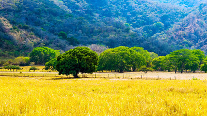 An example of cultural landscape in Costa Rica (Guanacaste region).