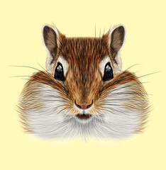 Illustrated portrait of Chipmunk