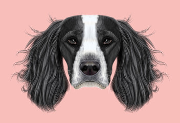 Illustrated Portrait of English Springer Spaniel dog