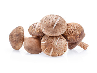 Shiitake Mushrooms isolated on white background
