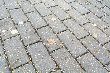Road paved of brick stones in the fall. Cobble background