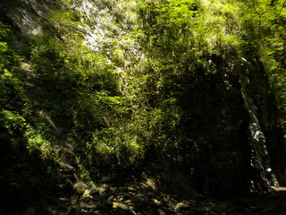 Obraz premium Nature