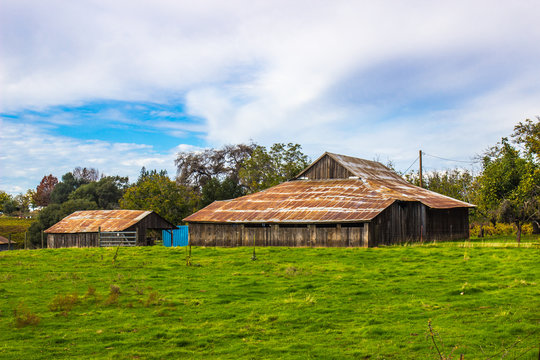 Old Tin roof Barns On Local Ranch