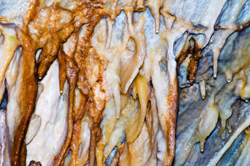 Secondary mineral deposits formed in a cave.