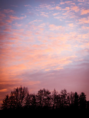 Morning Sky