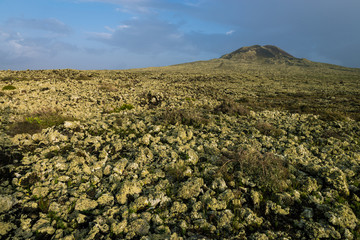 Fuerteventura Island volcanic landscape