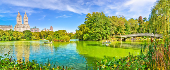 View of Central Park in autumn in New York City.