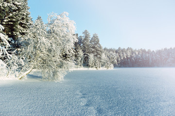 Winter landscape. Karelia. Russia. Lake Tuhka
