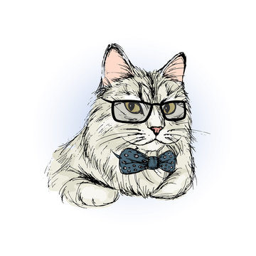 Charming male cat with bow and glasses, hand drawing