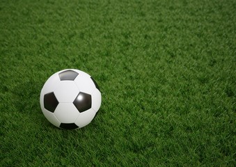 Fototapeta na wymiar 3D rendering Isolated Soccer Ball on grass field
