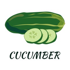 Cucumber. Flat design. Vector illustration. Ripe vegetable for Your ideas.