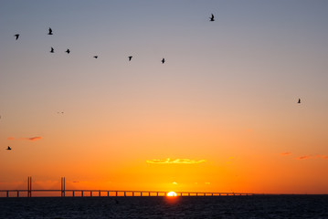 Sonnenuntergang vor der &Ouml;resundbr&uuml;cke