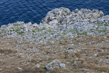 The rock and sparse vegetation on stony ground sea coast.