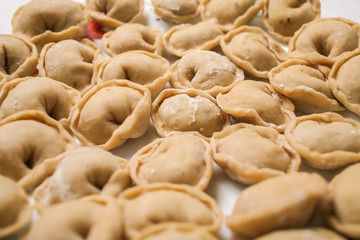 raw homemade ravioli on the plate