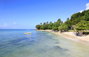 Die Karibik im Februar