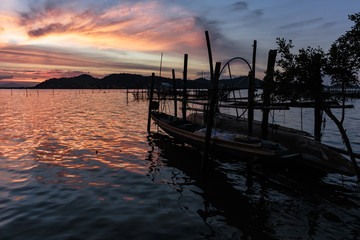 Silhouettes natural beauty of the sunset