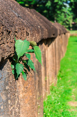 Ancient granite stone wall with bo leaf, at Wat Phra Si Ratana Mahathat, The Si Satchanalai Historical Park,  in Si Satchanalai district, Sukhothai Province, Northern Thailand
