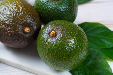 Green ripe avocado from organic avocado plantation - healthy food