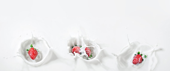 Obraz na płótnie Canvas delicious four strawberries sinking down into milk with a drops