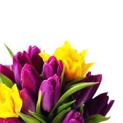 Fototapeta premium Spring flowers