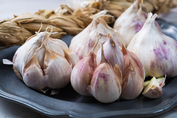 Garlic. Dried French garlic. Red garlic. Violet garlic.Garlic background. garlic bulbs.