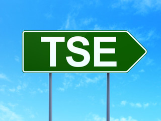 Stock market indexes concept: TSE on road sign background