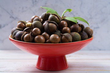 Macadamia nuts harvest close up