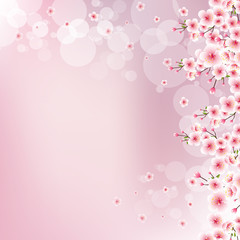 Blurred pink background with blooming cherry