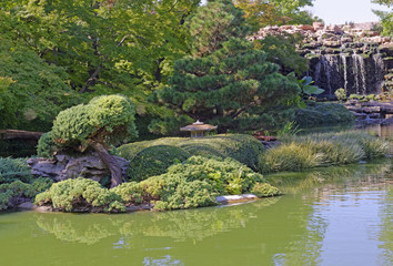 Obraz premium Pond vista in the Japanese Garden, Fort Worth, Texas, U.S.A.