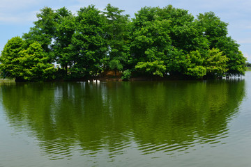 Wonderful view of Ardagani lake, Batumi