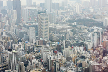 Panoramic view of the metropolis from a skyscraper window. Japan.