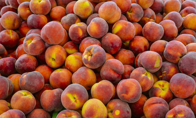 'Contender' Yellow Peaches in Farmers' Market - Napier, New Zealand