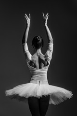 Fototapeta premium Young beautiful dancer posing in studio