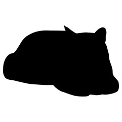 Black silhouette of cat. Vector illustration.