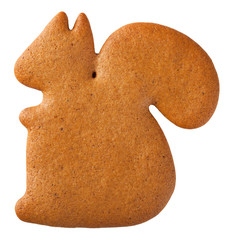 Gingerbread Squirrel Cookie