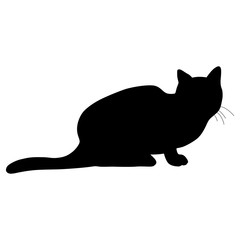 Black silhouette of cat. Vector illustration.
