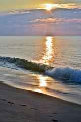 Fototapeta premium Golden and Glistening Sunrise Seas at the Shore
