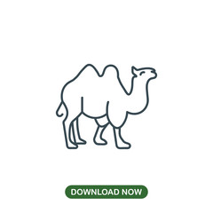 Camel icon vector