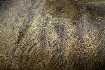 Texture of bronzed surface